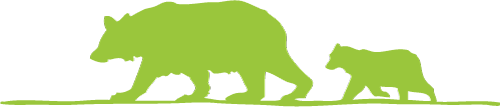 bcv_logo_trans
